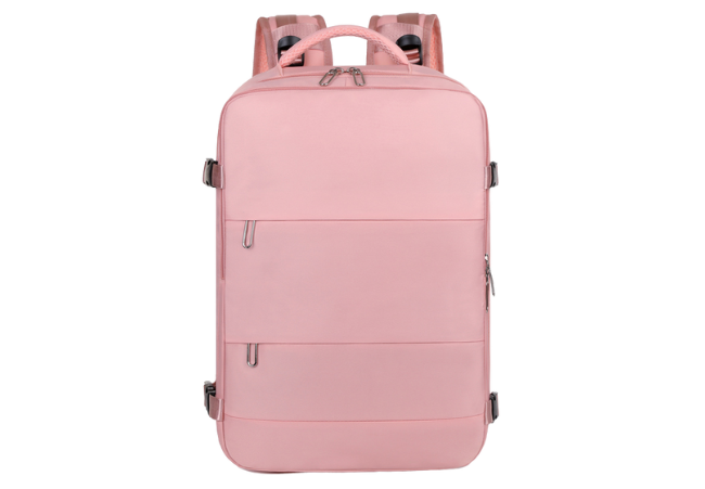 ZWX-WP Pink Business Backpack With USB Charging