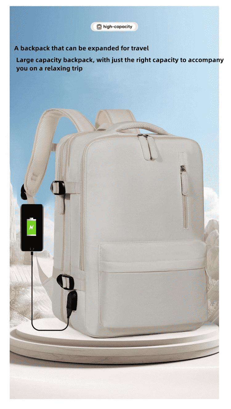 ZWX-CZ01 Stylish Laptop Backpacks